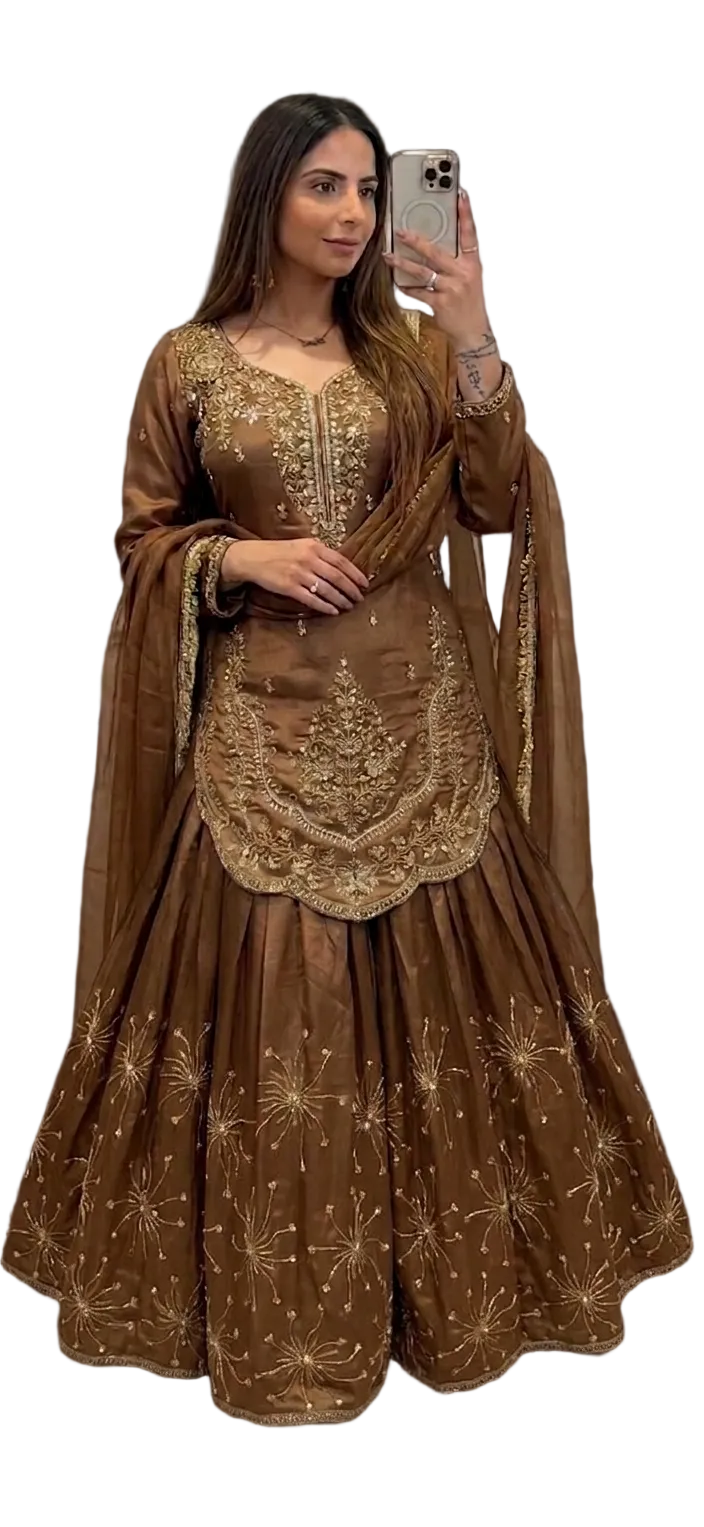 Stunner Elegant Color Lehenga