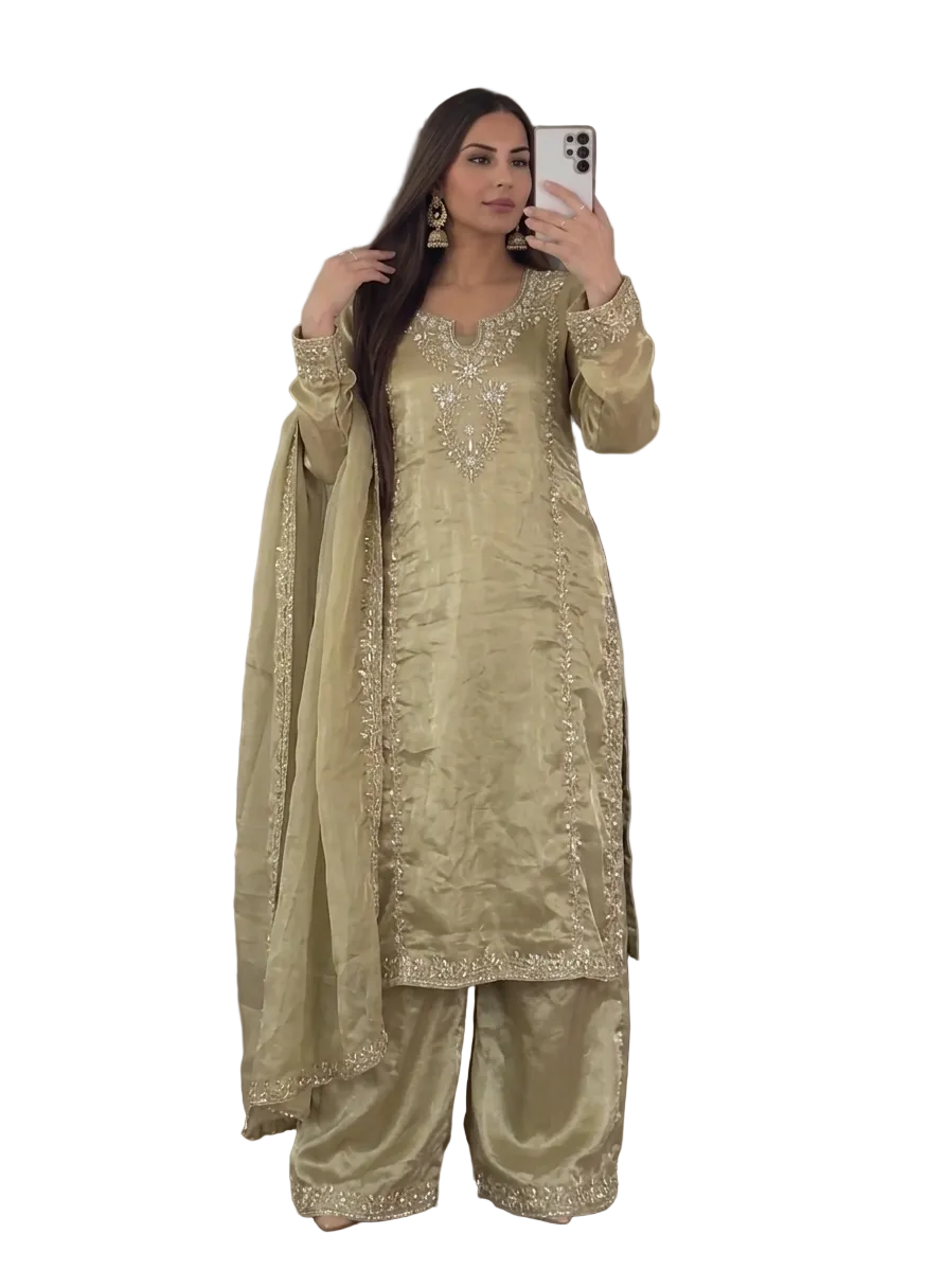 Elegance Pakistani Glam
