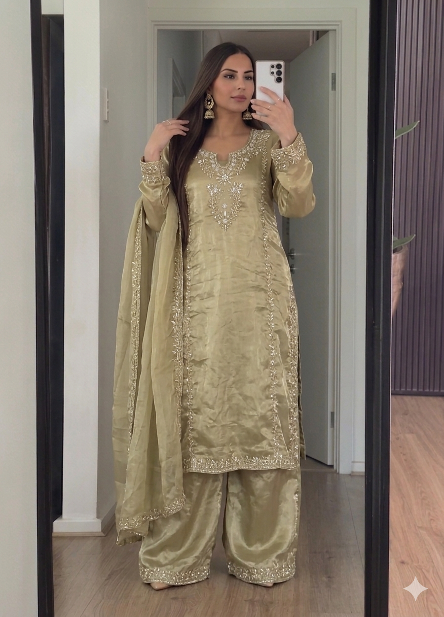 Elegance Pakistani Glam